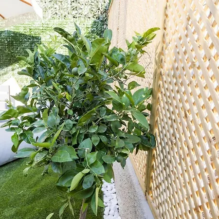 アパートホテル Theros Dhiminión